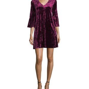 Eliza J Velvet Bell Sleeve Dress